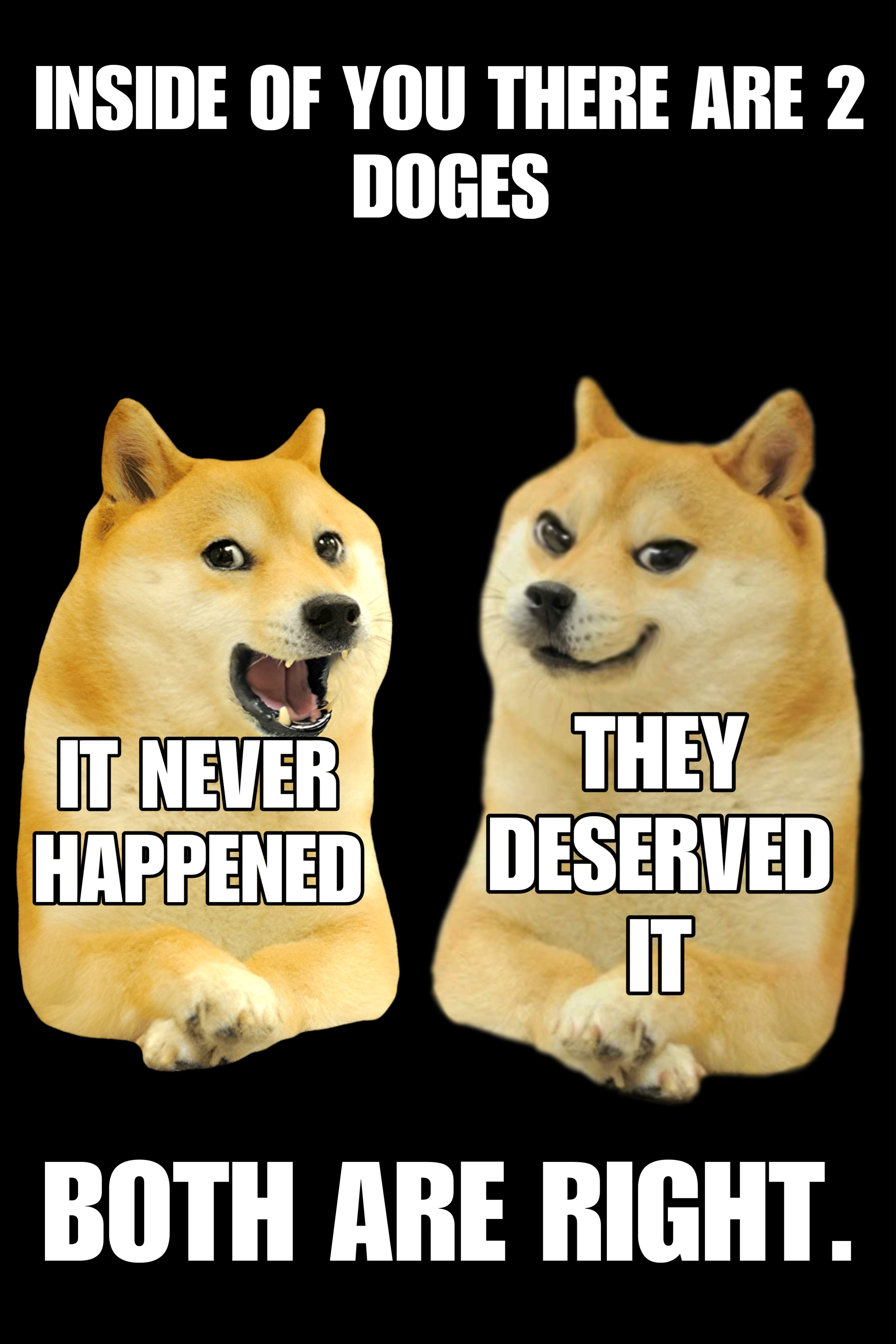 2 Doge Meme Poster – Sh!tPosters